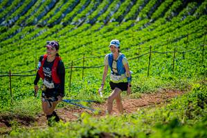 BIB: 1319, 
                            <button type="button" onclick="openModal(19163097)" class="btn btn-primary btn-sm float-right btn-popup" data-toggle="modal" data-target=".modal-high-quality">
                        <i class="fas fa-shopping-cart"></i> Add to Cart
                    </button>
                                            <button type="button" onclick="isThisMe(19163097, true)" class="btn btn-success btn-sm float-right btn-popup btn-isme hidden" data-toggle="tooltip" data-placement="bottom" title="นี่คือรูปของคุณใช่ไหม คลิกที่นี่เพื่อเอาเข้าอัลบั้ม">
                        <i class="fas fa-plus"></i> Add to album
                    </button>
                    <button type="button" onclick="isThisMe(19163097, false)" class="btn btn-warning btn-sm float-right btn-popup btn-isnotme hidden">
                        <i class="fas fa-ban"></i> Remove from album
                    </button>